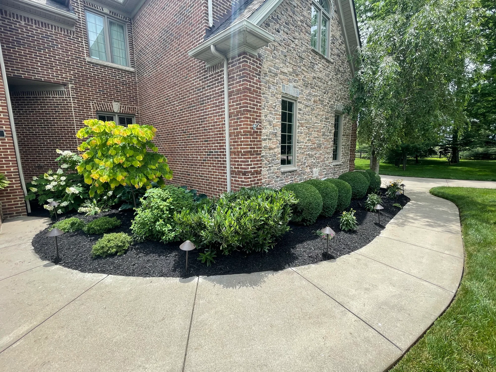 Flowering shrubs and clipped plants beside a curved walk