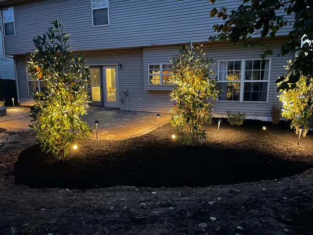 Landscape lights illuminating trees and a planting bed